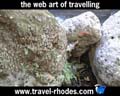 Travel to Rhodes Video Gallery  - RHODES PETALOUDES -   -  A video with duration 1:16 min and a size of 1.267 KB